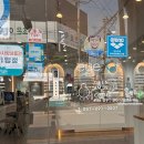 크로바체육관 이미지