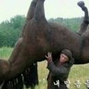 드립 네이버블로그