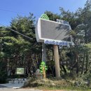 솔내음산촌마을 | [무주] 내돈내산 찐후기 솔내음 산촌마을 캠핑장