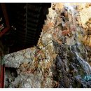 홍룡폭포(홍룡사) 이미지