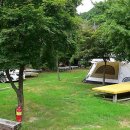 향림오토캠핑장