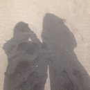 삼양검은모래해변 이미지