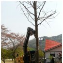 중기농장 이미지