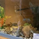 황토자라가든 이미지