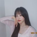 다나정보 이미지