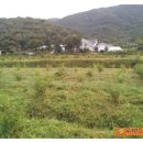 화봉농장 이미지