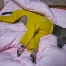 ES 헬스케어 이미지