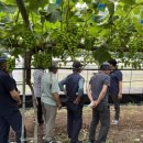 옹진군농업기술센터 이미지