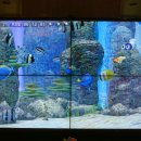 (주)미리내수련원 이미지