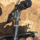 서수농장 이미지