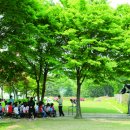 사랑목장 이미지