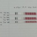 큰손1치킨2피자인동점 | 임신 준비부터 20주까지, 내가 기억하려고 쓰는 기록