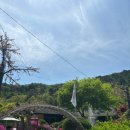 양수리 오리학교 이미지