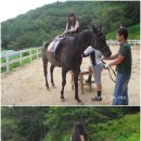 원주2목장 이미지