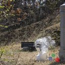 이고은 카카오 검색결과