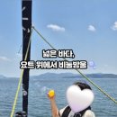 아그리나 B 이미지