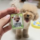 오복인쇄 | 오복이 부적 키링 만들어봤어요! 휴앤고에서 직접 해본 키링제작 후기