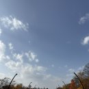 송파둘레길 | 2025년 늦가을단풍산책길(2) 송파둘레길 올림픽공원