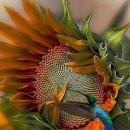 먹어야산다 이미지