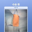 배박사 동물병원 이미지