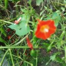 두평농장 이미지