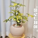 산호대로35길 이미지