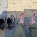 부안 안심소 이미지