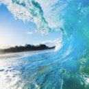 주식회사프라임운송 이미지