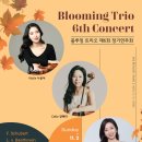 과천시립교향악단 콘서트시리즈2 <Allegro con brio> | [11.02] 블루밍 트리오 제6회 정기연주회