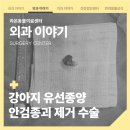 부곡동물병원 이미지