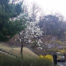 노작공원(노인공원) 이미지