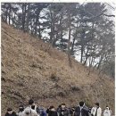 참사랑태권도 이미지