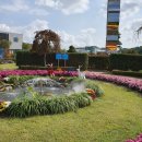 내제로29길 | 10월의 혜진, 놀고먹고 이사하고 공부하기