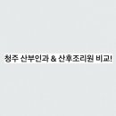 청주미즈맘산부인과의원 | [수박씨 임신일기 Ep.14] 청주 산부인과 &amp; 산후조리원 비교! 하안유 vs 미즈맘 vs 모태안 총정리