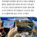 日, 후쿠시마 오염수 해양방류 오늘 오후 1시 실시 이미지