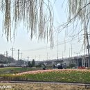 낙동강관리본부 화명생태공원 11 이미지