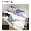 진수선 | 프피들의 전주여행 1편