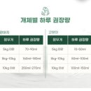 채릇채릇 이미지