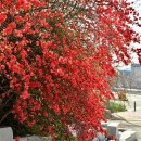 문향고등학교 이미지