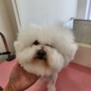보앤벨 이미지