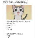 공감 이미지