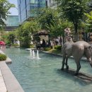 NC일산웨스턴돔
