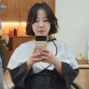 풀로진 이미지