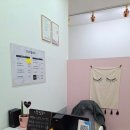 다비치안경서현점 | 서현역속눈썹펌 깔끔하게 잘하는 곳 추천 | SY수영뷰티 솔직 후기