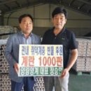 양림양계 이미지