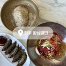 밀면 | 경주 밀면 맛집 황남밀면 솔직후기