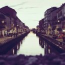 작두콩차의 효능과 부작용 이미지