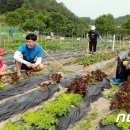 김태진농장 이미지