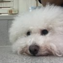 SUNNYNE 이미지