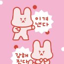 농산물센터 | 제주농산물수급관리센터 면접 후기(이번주도 그럭저럭 살았습니다)